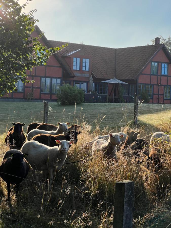 Villa Hasselbacken Gärsnäs Екстериор снимка